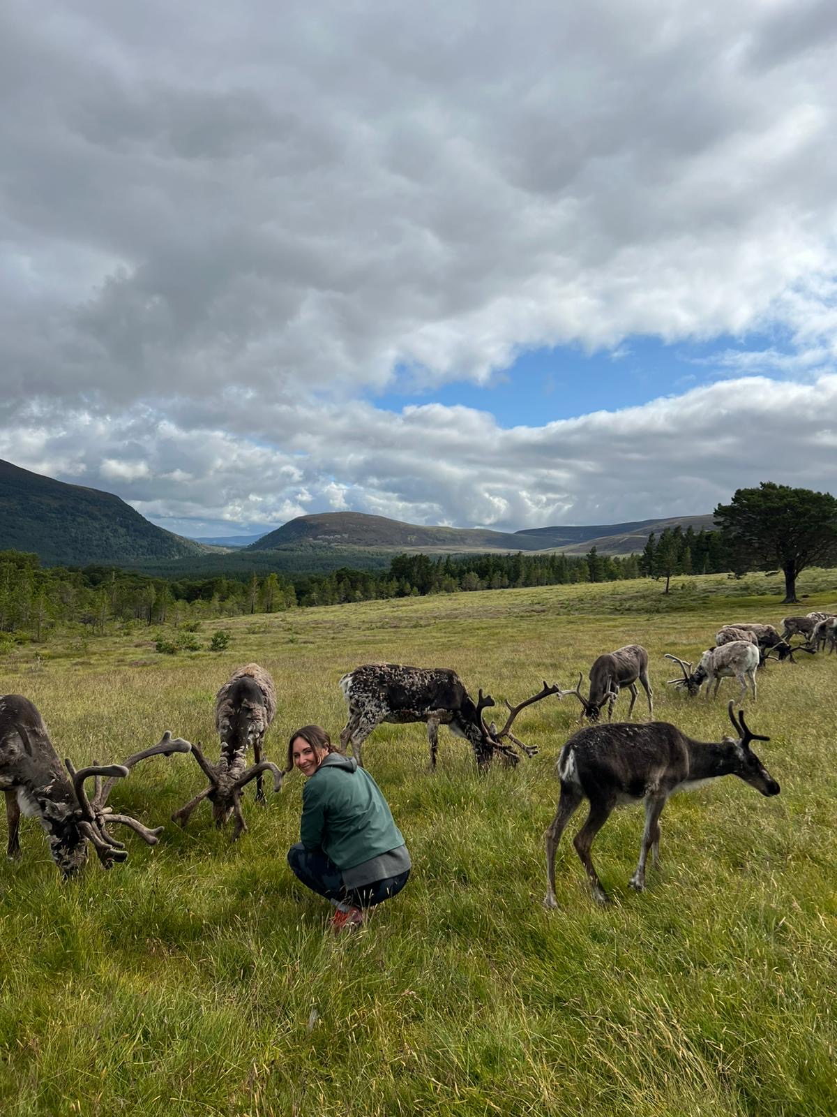 Hayley crouched in a Highland field, surrounded by grazing reindeer, looking back at the camera